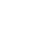 Synergy Advisors